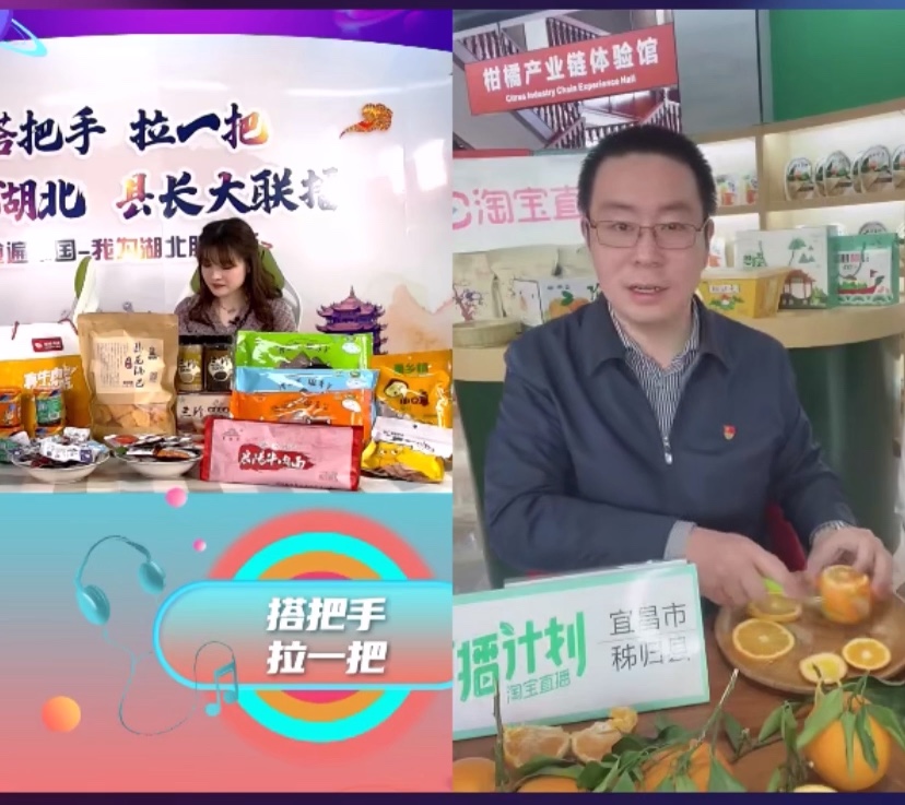 湖北秭归县副县长陈琦在淘宝直播中展示橙子的吃法.jpeg